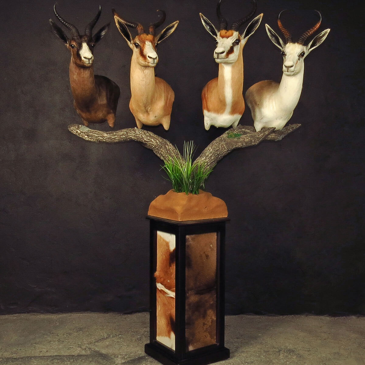 Pedestal mount of an African game animal by Karoo Animal Art Studio