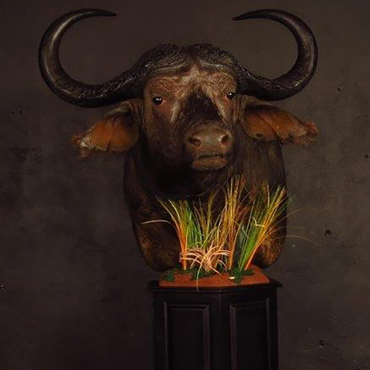 Pedestal mount of an African game animal by Karoo Animal Art Studio