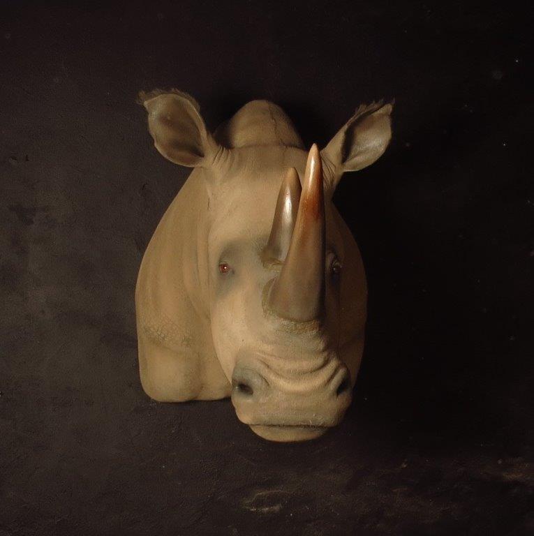Shoulder mount of an African game animal by Karoo Animal Art Studio