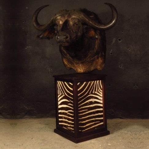 Pedestal mount of an African game animal by Karoo Animal Art Studio