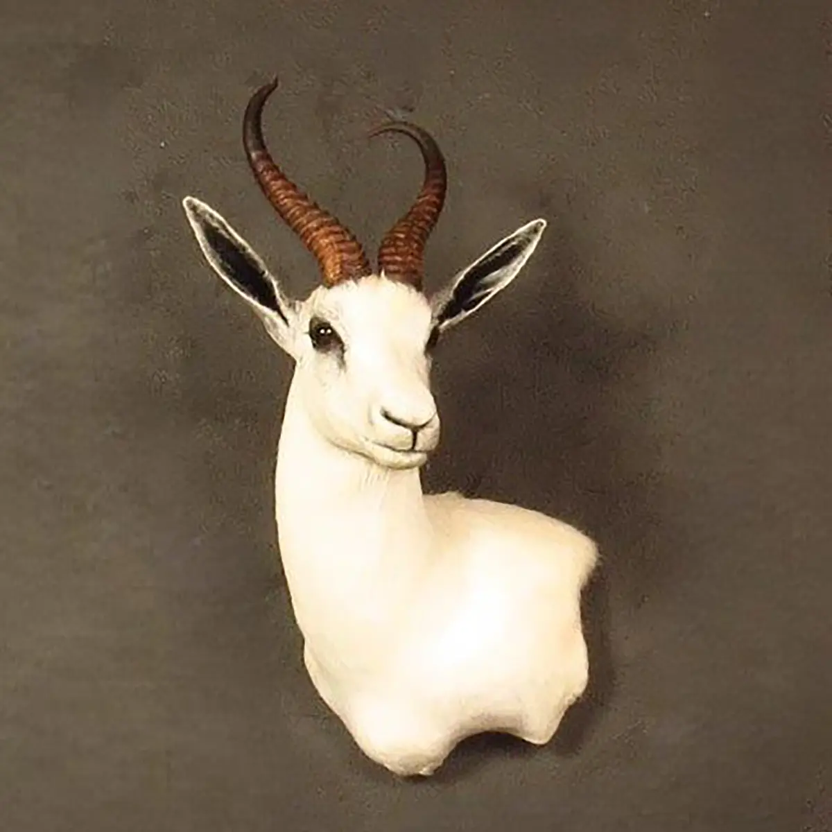 Wall pedestal mount of an African game animal by Karoo Animal Art Studio