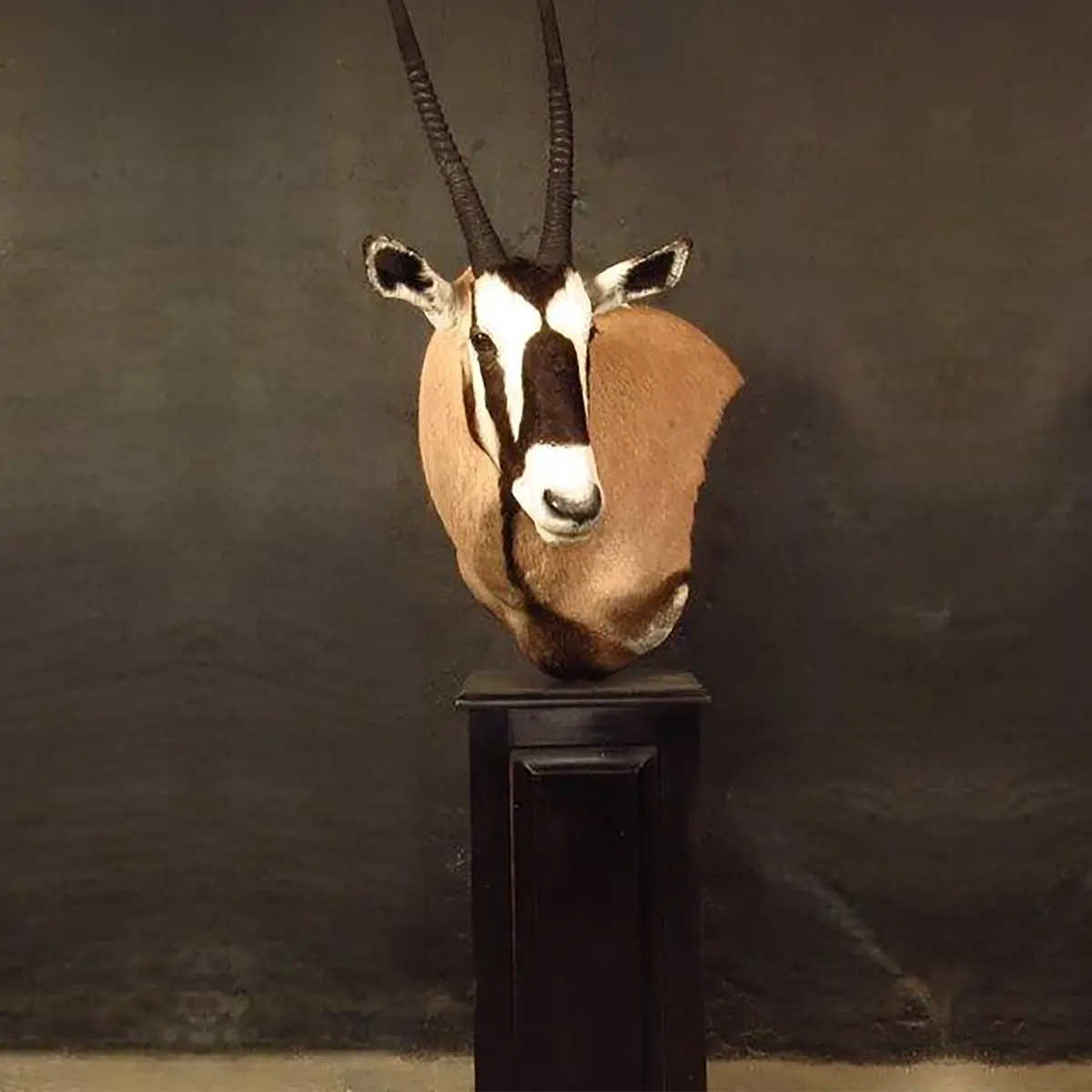 Pedestal mount of an African game animal by Karoo Animal Art Studio