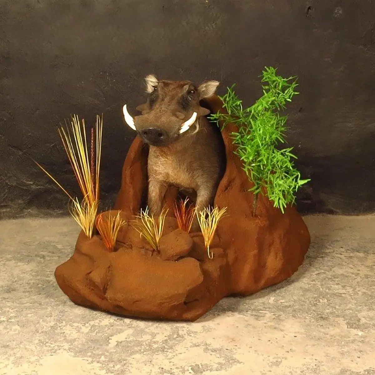Half mount of an African game animal by Karoo Animal Art Studio