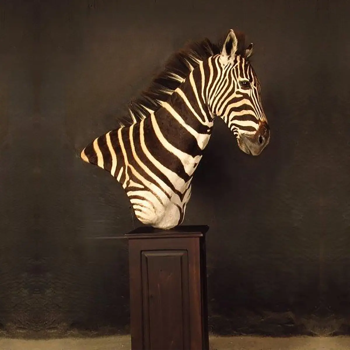 Pedestal mount of an African game animal by Karoo Animal Art Studio