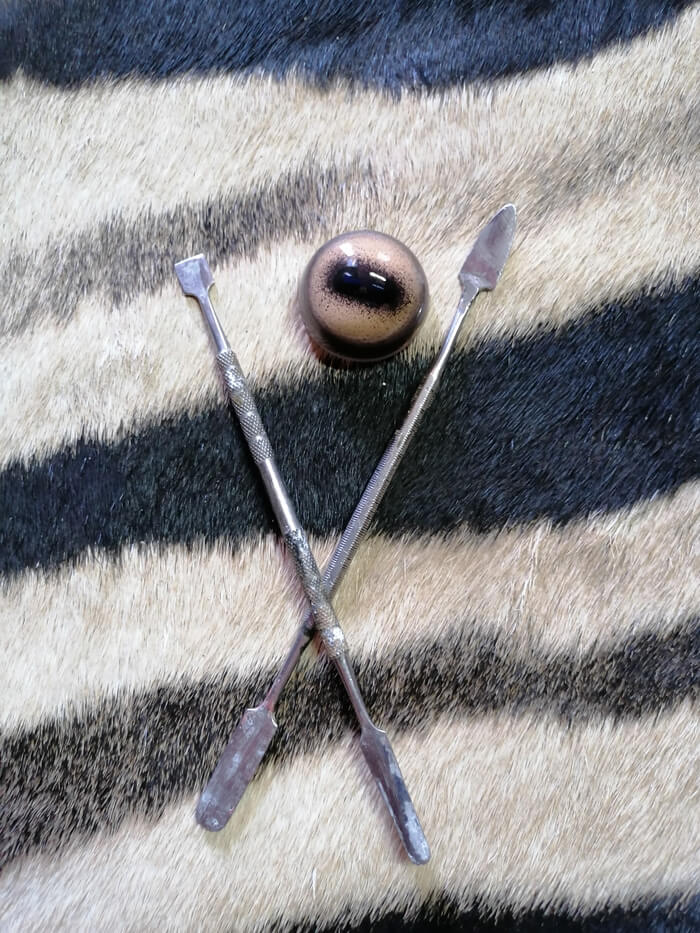 Taxidermist's tools and a glass eye laid out on a zebra hide